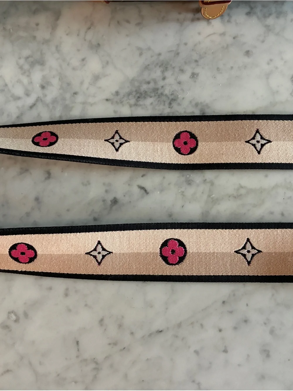Louis Vuitton detachable louis